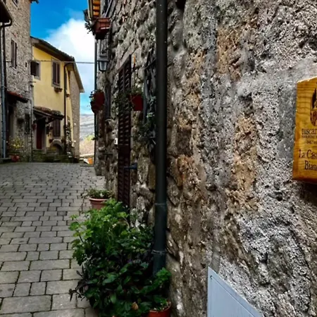 Castagna Bianca - Tuscan Tobe Srl *